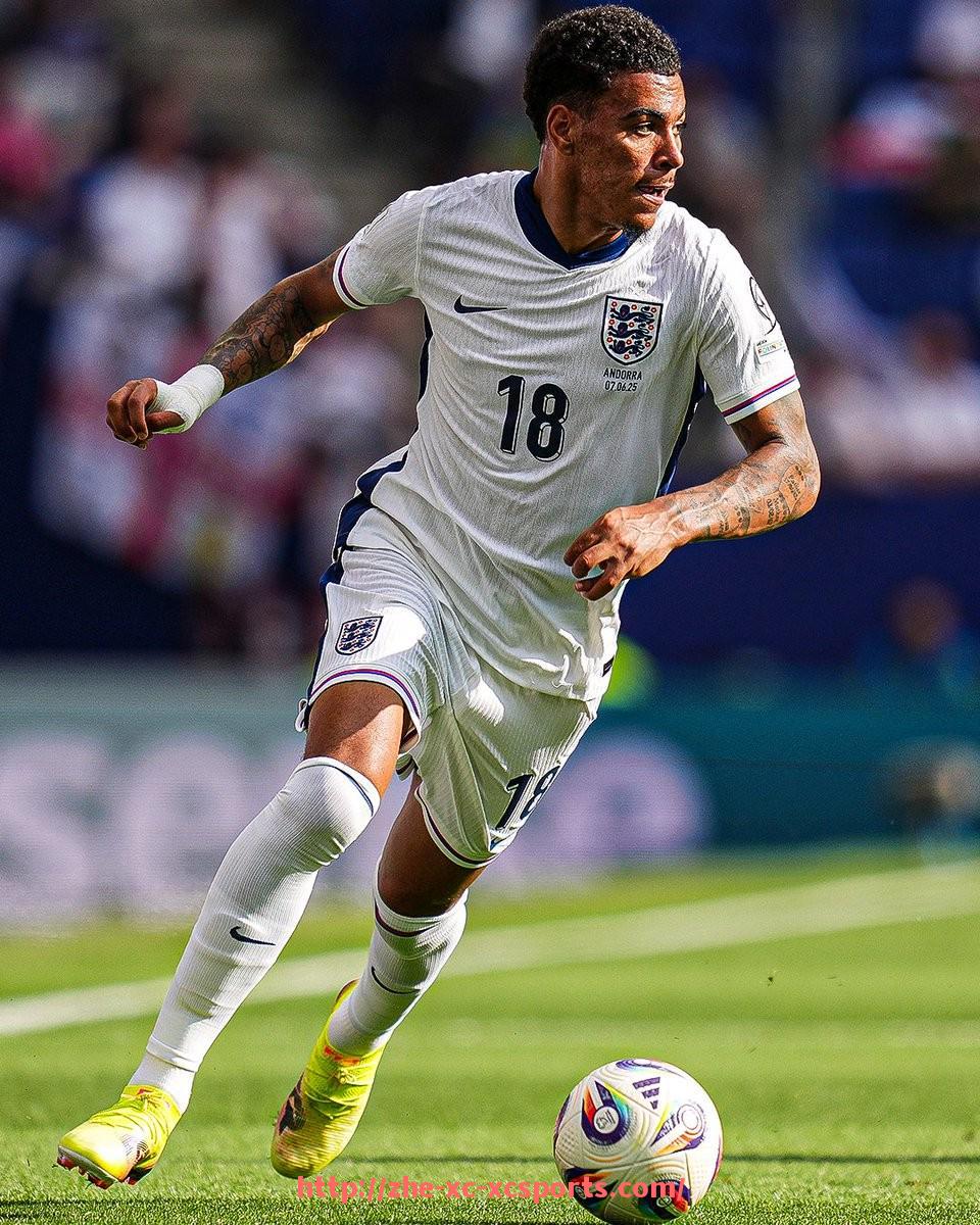 杏彩体育-世俱杯比赛中球员被犯规次数的统计与保护机制研究