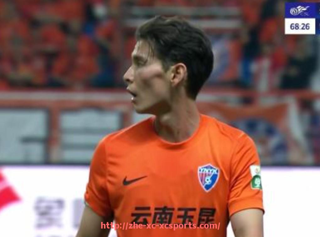 杏彩体育-英超总球员数量统计及各俱乐部球员人数分布