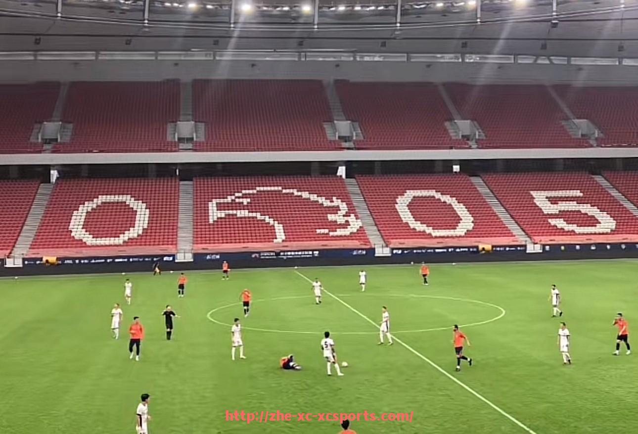 杏彩体育-法甲主帅战术布局方式与临场调度特点