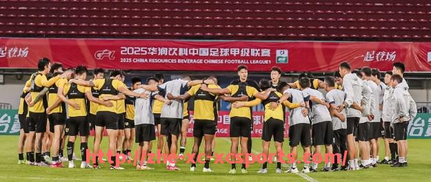 杏彩体育-法甲外援战术融入情况分析及外援与本土球员配合的成功案例 杏彩体育-法甲外援战术融入情况分析及外援与本土球员配合的成功案例